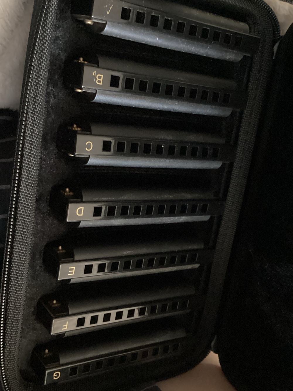 Hohner Piedmont 7 piece